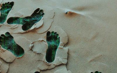 Making Your Online Footprint