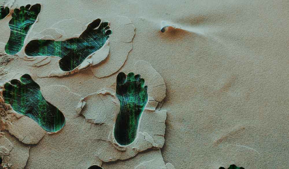 Making Your Online Footprint