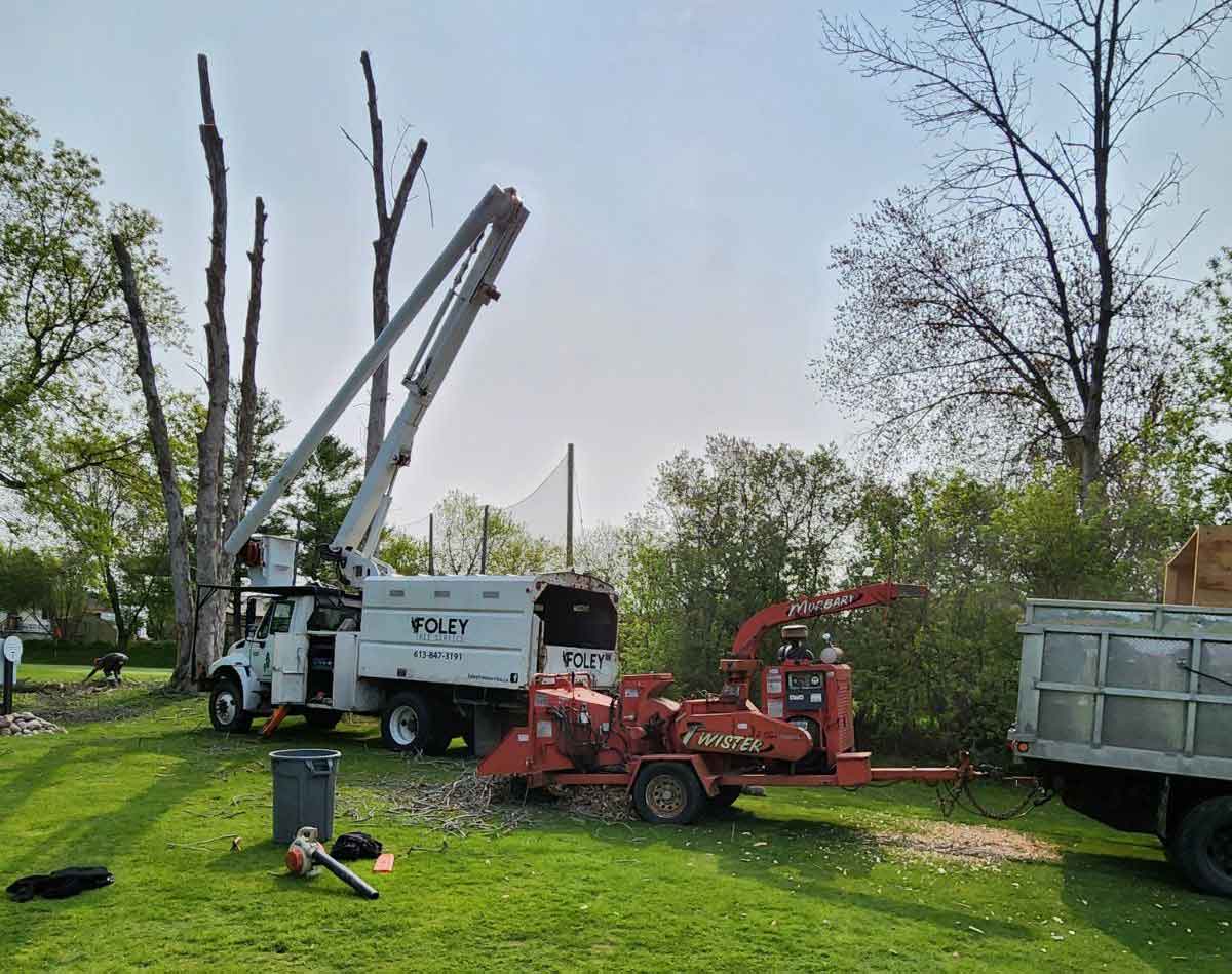 Foley Tree Service truck and wood chipper set up to remove trees